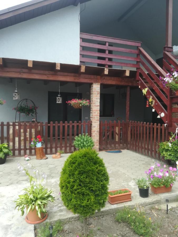 Casa Ricciotti Villa Tritenii de Jos Exterior photo