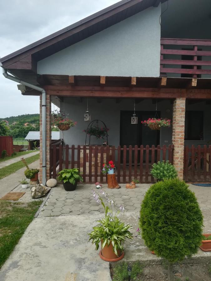 Casa Ricciotti Villa Tritenii de Jos Exterior photo